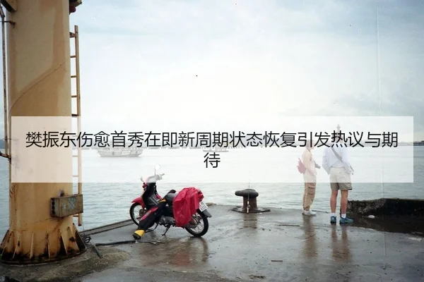 樊振东伤愈首秀在即新周期状态恢复引发热议与期待